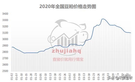 豆粕供应宽松预期增强，现货基差价格承压下行