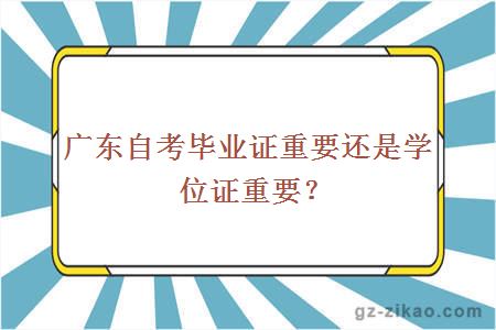 澳门半岛自学考试网，助力个人成长与自我提升的重要平台