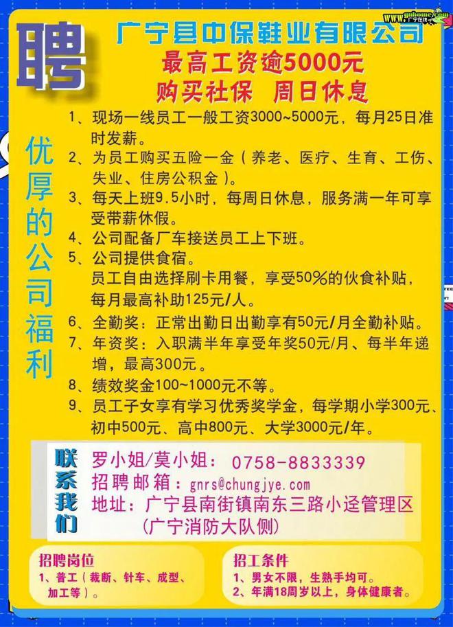 安铺招工最新招聘信息概览