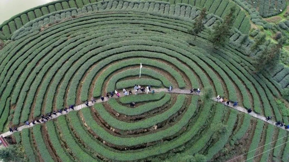 白玉县自学考试网，助力个人学习与成长的在线平台