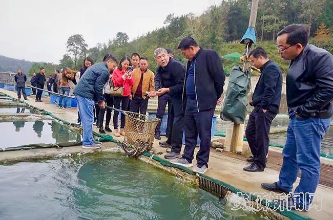 安顺建设人才信息网招聘——打造人才与企业的对接平台