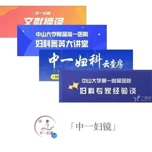 八一自考网，助力个人成长的在线教育平台