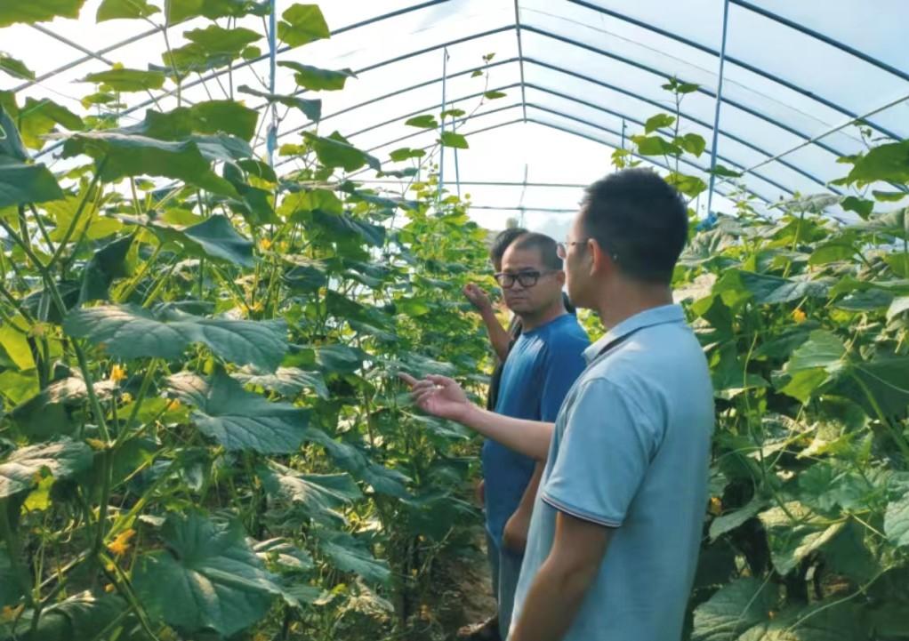 安陆人才招聘信息网——连接企业与人才的桥梁